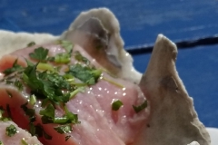 "Ceviche en su concha"