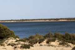"Playa San Miguel"